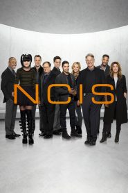 Agenci NCIS online