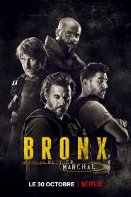 Bronx online