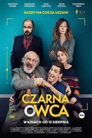 Czarna owca online