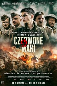 Czerwone maki online