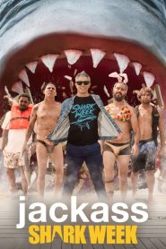 Jackass kontra rekiny online