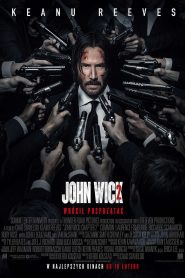 John Wick 2 online