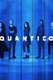 Quantico online