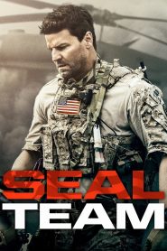 SEAL Team online