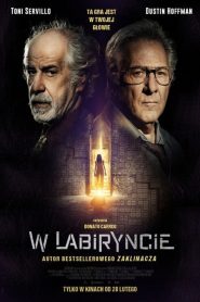 W labiryncie online