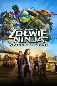 Wojownicze Żółwie Ninja Wyjście z cienia online