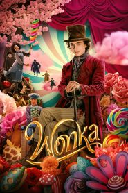 Wonka online