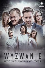 Wyzwanie online