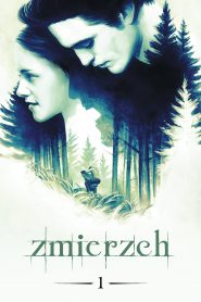 Zmierzch online